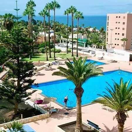 Vina Del Mar Διαμέρισμα Playa Feñabe Εξωτερικό φωτογραφία