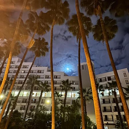 Vina Del Mar Διαμέρισμα Playa Feñabe Εξωτερικό φωτογραφία