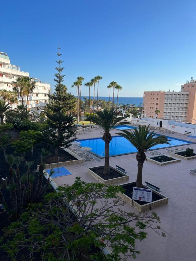 Vina Del Mar Διαμέρισμα Playa Feñabe Εξωτερικό φωτογραφία