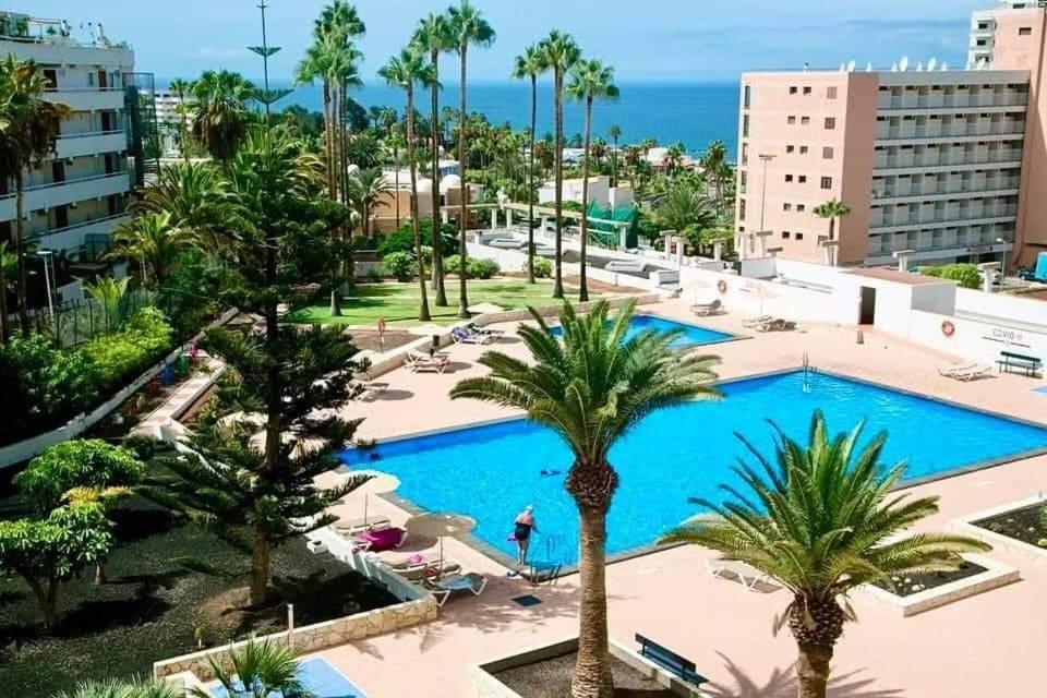 Vina Del Mar Διαμέρισμα Playa Feñabe Εξωτερικό φωτογραφία
