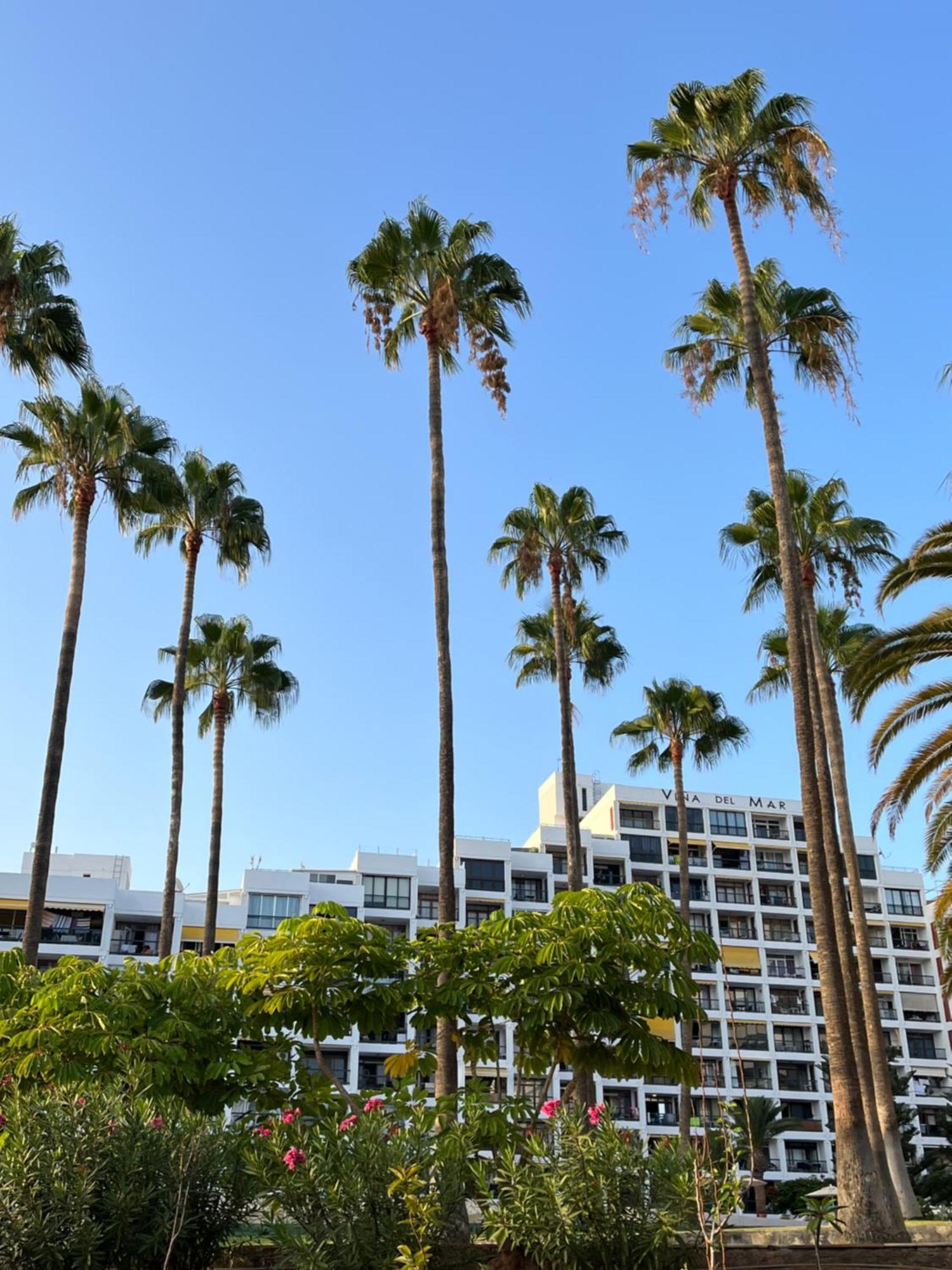 Vina Del Mar Διαμέρισμα Playa Feñabe Εξωτερικό φωτογραφία