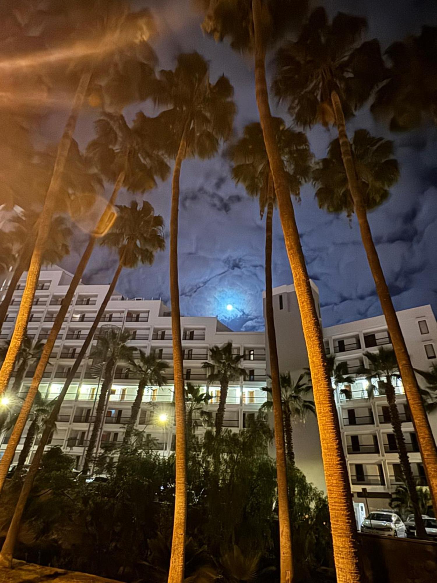 Vina Del Mar Διαμέρισμα Playa Feñabe Εξωτερικό φωτογραφία